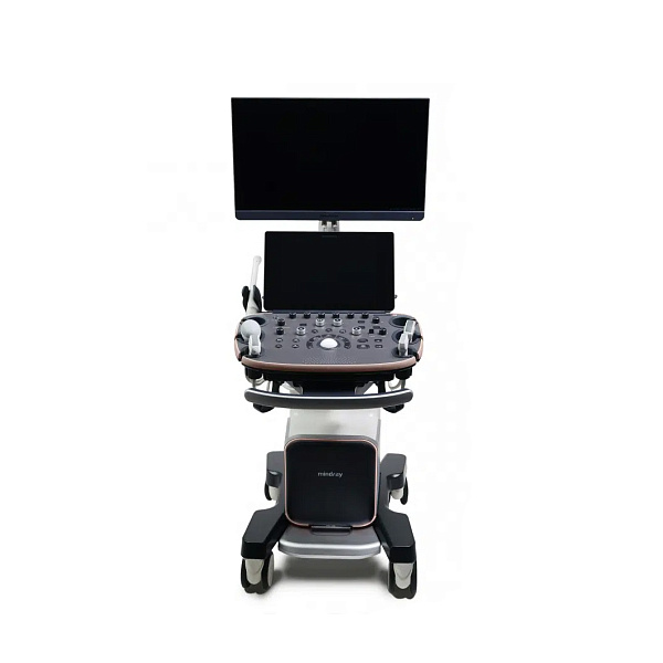 Ультразвуковой аппарат Mindray Imagyn I9