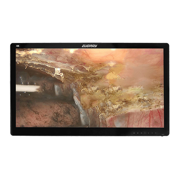 Монитор 32" 4K эндоскопический-хирургический EVORAY S3281P